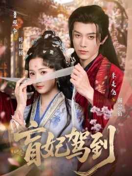 盲妃驾到(全集)